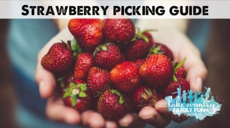 Go Pick Some Strawberries Local U-Pick Strawberry Picking Guide Lake Country Family Fun