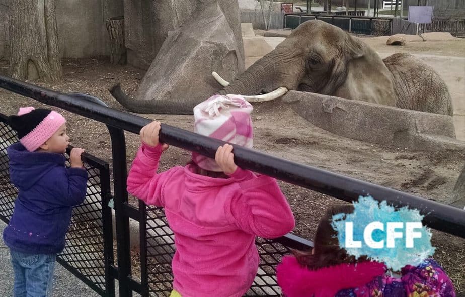 Weekend Guide Free Zoo Day Milwaukee County Zoo Lake Country Family Fun