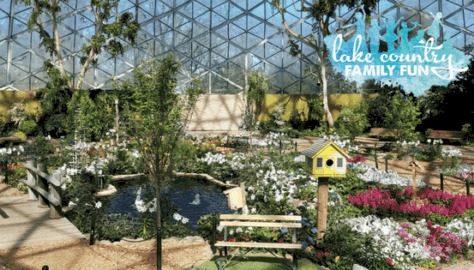The Domes Picnic in the Park