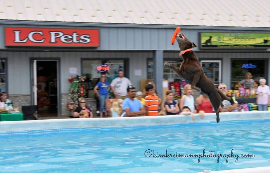 Lake Country Pet Fest at LC Pets Lake Country Family Fun