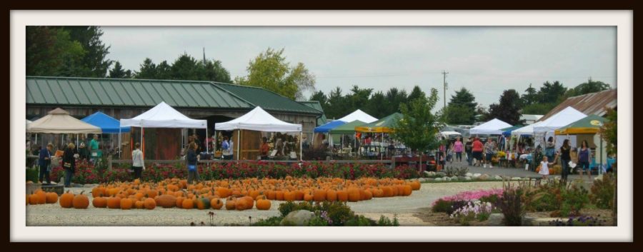 Ebert's Greenhouse Village Craft Fair Ixonia