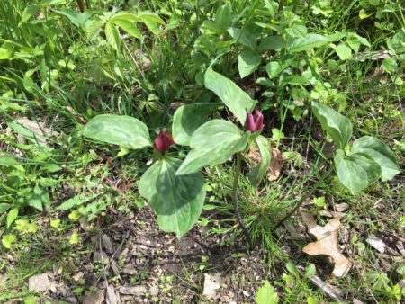 Waukesha County Parks Tour Muskego Lake Country Family Fun