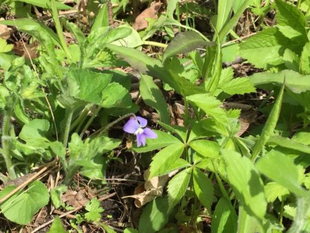 Waukesha County Parks Tour Muskego Lake Country Family Fun