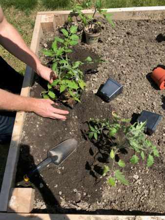 Lake Country Family Fun Gardening with kids