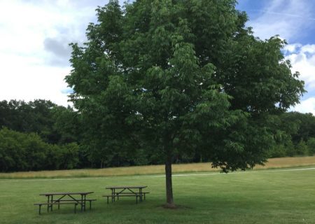 Waukesha County Park Tour Fox Brook Park Lake Country Family Fun