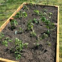 Raised Garden Project Garden Blog 4 Tips for the day of planting Lake Country Family Fun