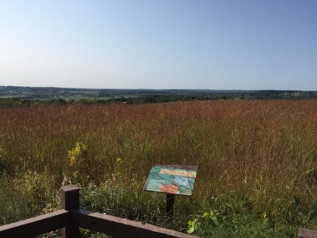 Wee wonders at Retzer Nature Center