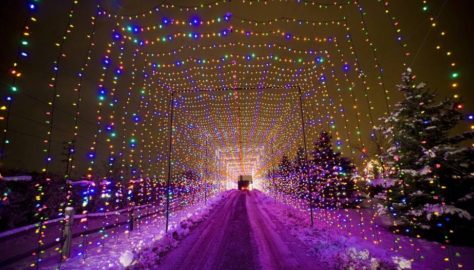 Country Christmas holiday lights