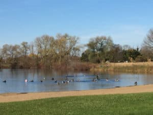 Waukesha County Parks Tour: Minooka Park • Lake Country Family Fun