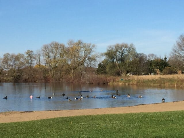 Waukesha County Parks Tour: Minooka Park