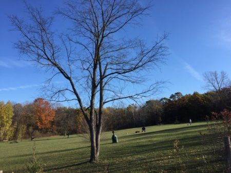 Waukesha County Parks Tour: Minooka Park