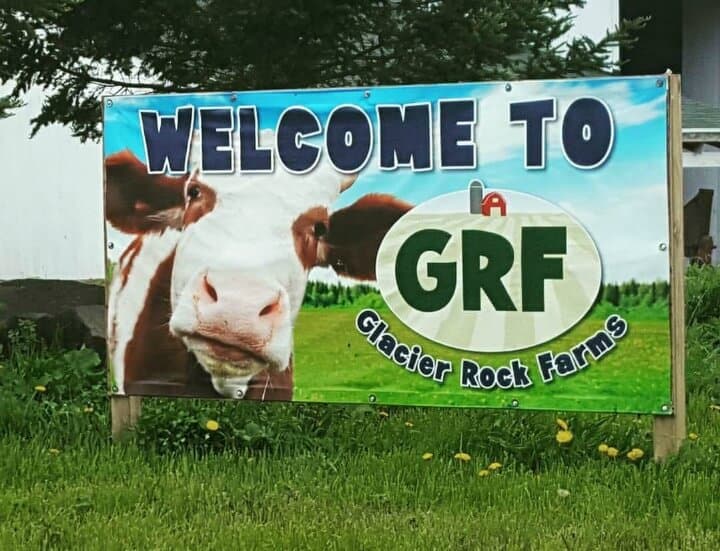 Shearing Day at Glacier Rock Farms