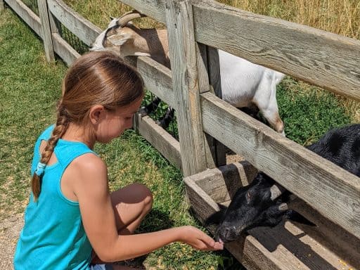 The Farm Door County