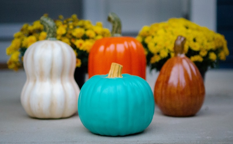 The Scoop on the Teal Pumpkin Project