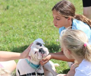 Haws 2025 summer camp