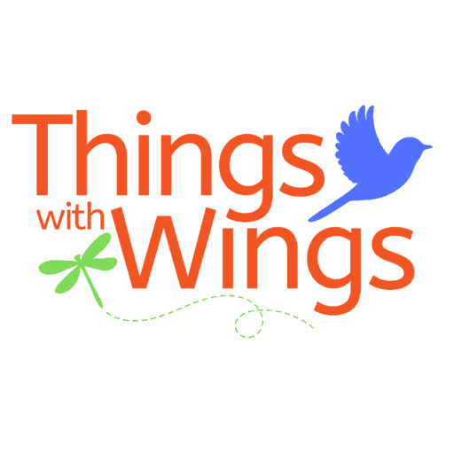 Things with Wings logo wilson summer camp