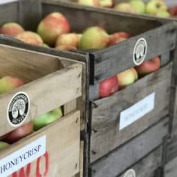 Retzer Nature Center Apple Harvest Festival Apple Market Crates