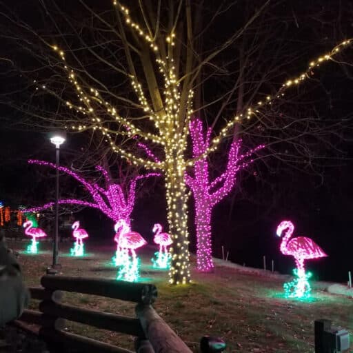 Wild Lights MKE Zoo 20222