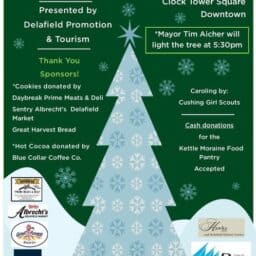 Delafield Tree Lighting