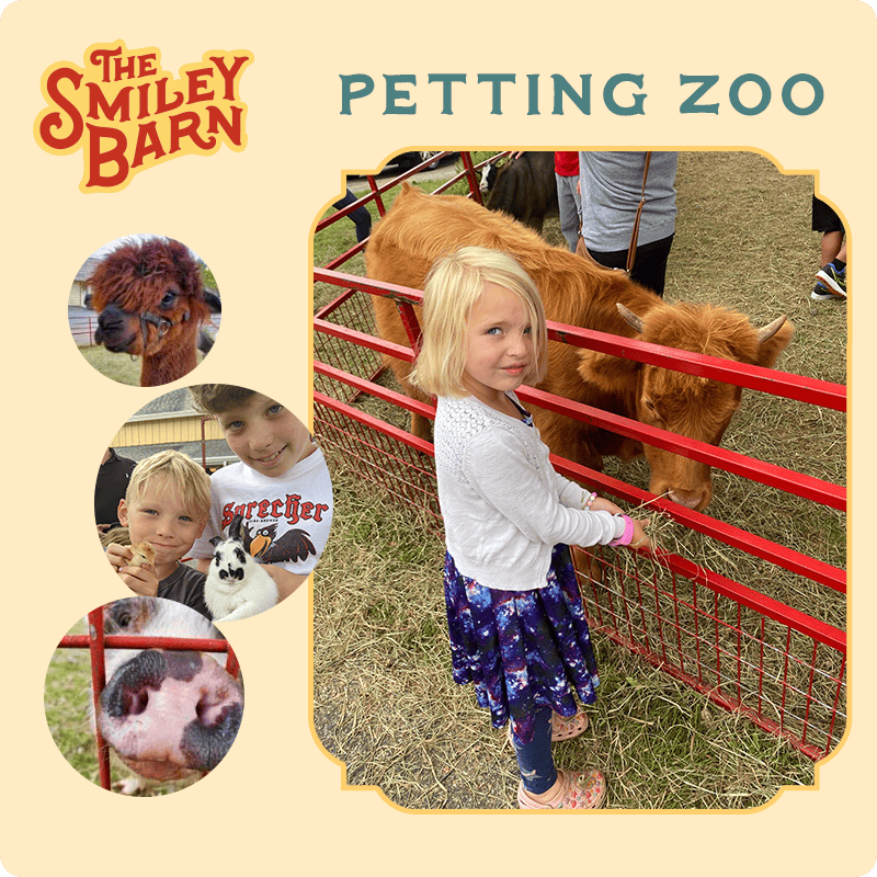 Petting Zoo at The Smiley Barn