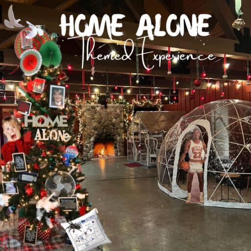 Tap Yard Brookfield Home Alone Dome Experience