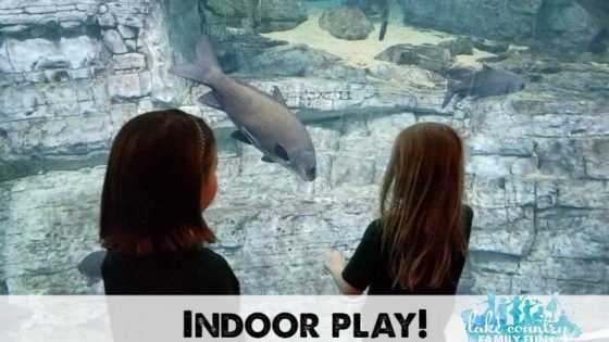 Indoor Play Places 20170428_104848 (1) Indoor Play Fun Lake Country Family Fun