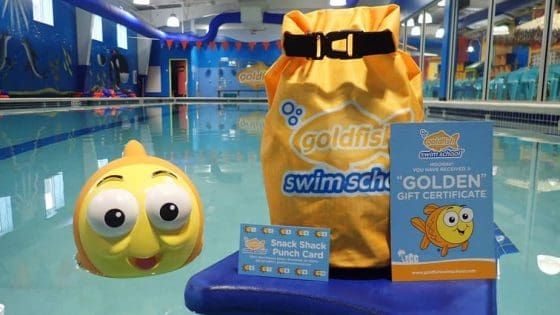 goldfish swim school black friday goldfish swim school black friday