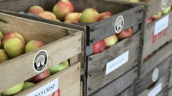 Retzer Nature Center Apple Harvest Festival Apple Market Crates