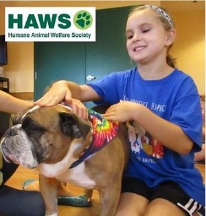 HAWS of Waukesha Humane Society Pets